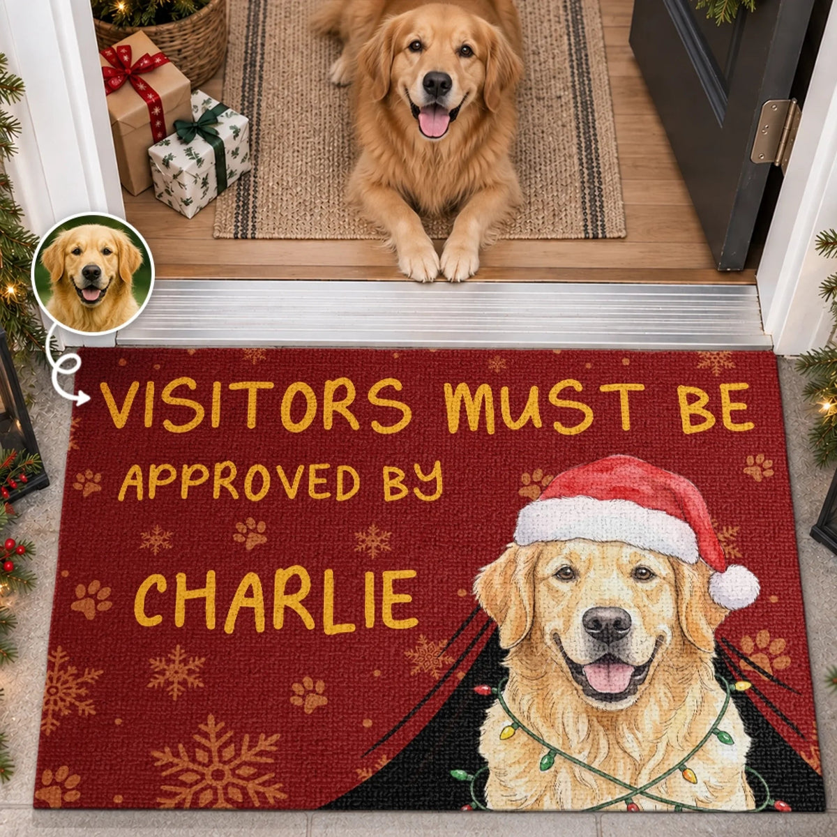 Custom Photo Christmas Welcome Doormat, Personalized Pet Name Decorative Mat, Upload Your Dog Or Cat Portrait, Christmas Birthday Gifts For Dog Mom, Dog Dad, Pet Lovers - Paws Before You Enter
